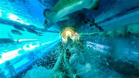 golden nugget water slide